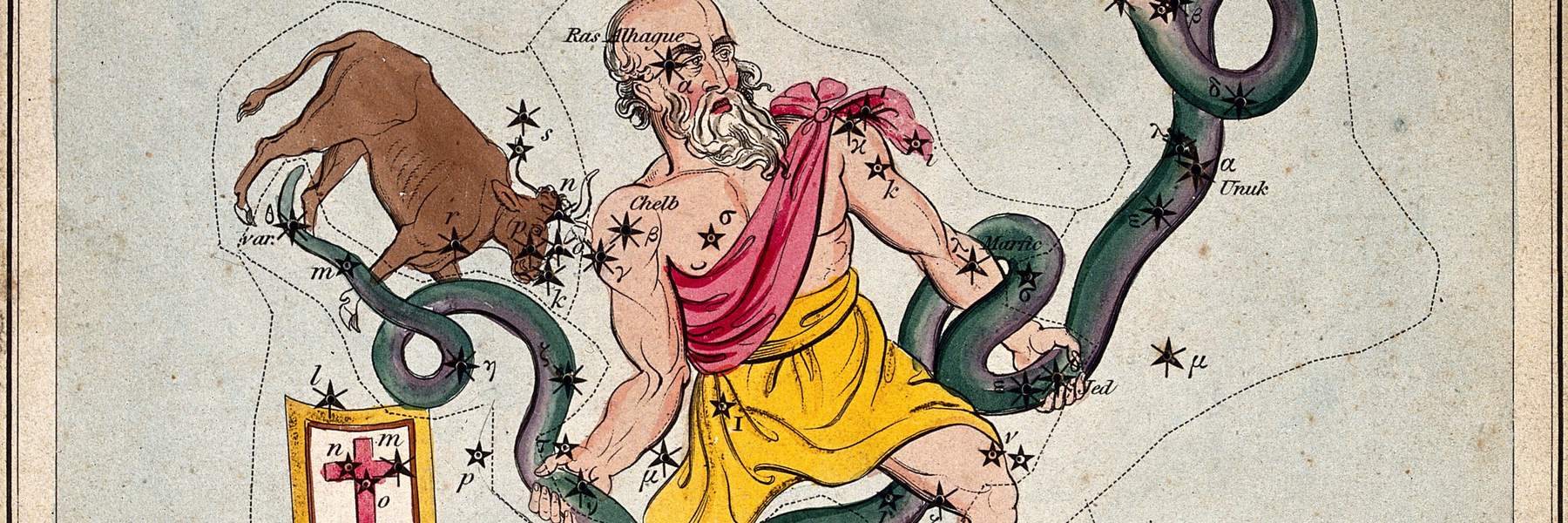 The constellation Taurus, hand-coloured